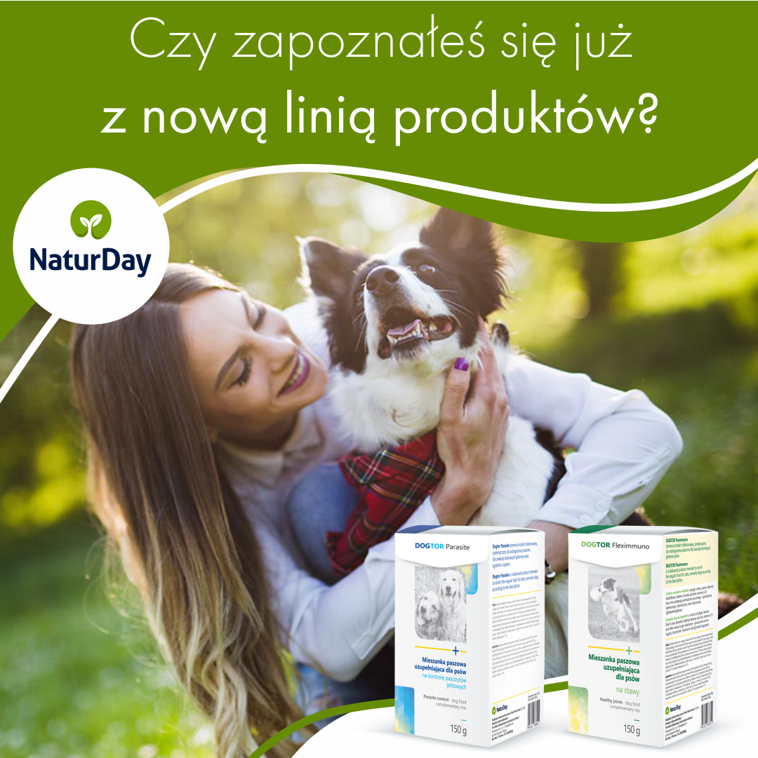 Czy zapoznałeś się już z najnowszą linią produktów?